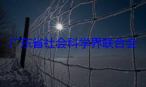 专职副主席余鸿纯被科学界联合会党组成员广东省社会查